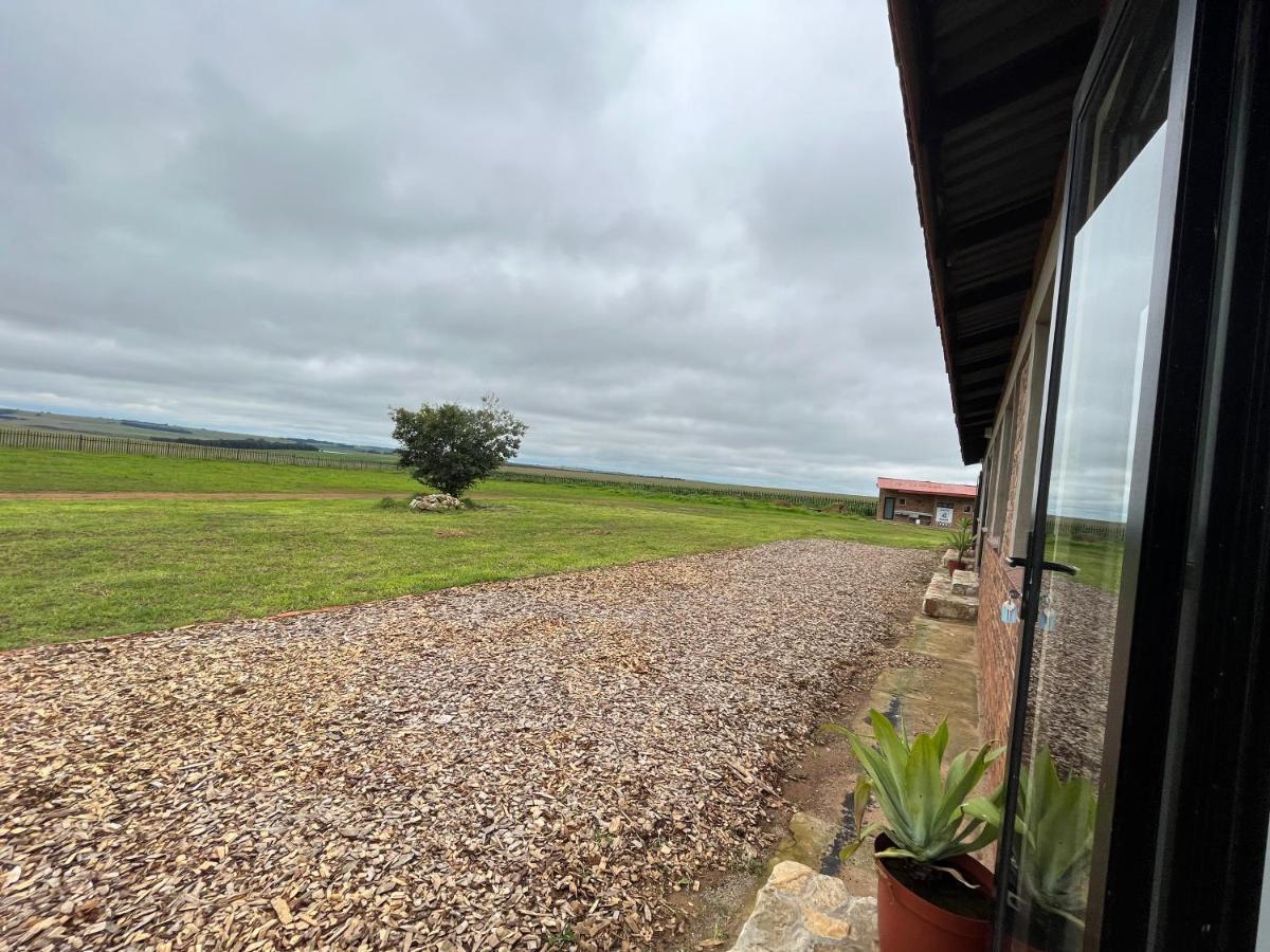 Dewdrop Farm Stay Ermelo Εξωτερικό φωτογραφία