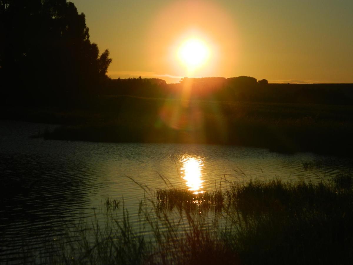 Dewdrop Farm Stay Ermelo Εξωτερικό φωτογραφία